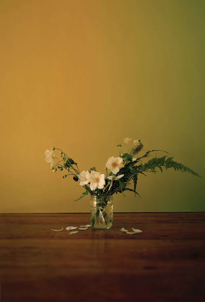 Flowers from Connor - Triptych