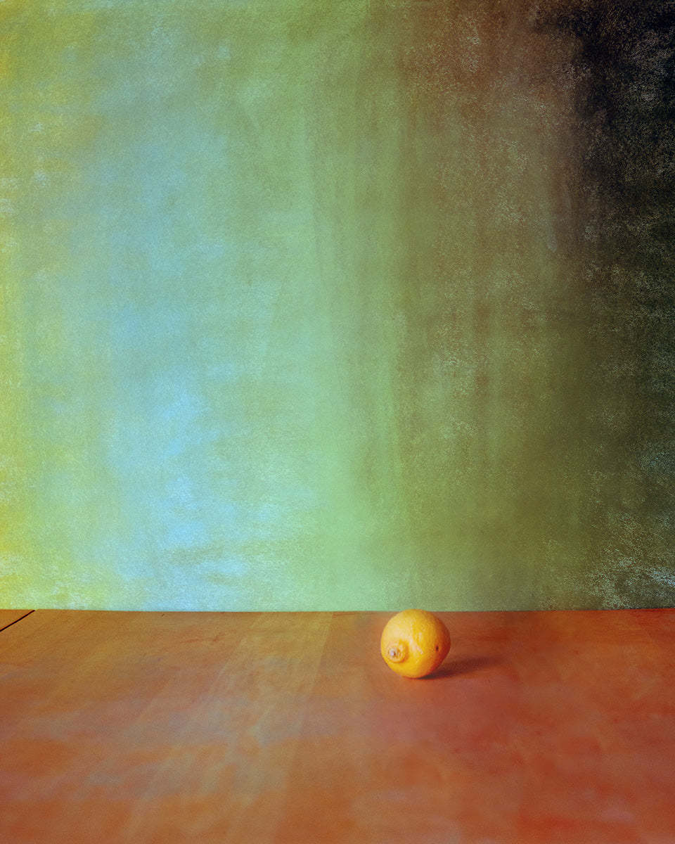 Yellow Tulips - Triptychs