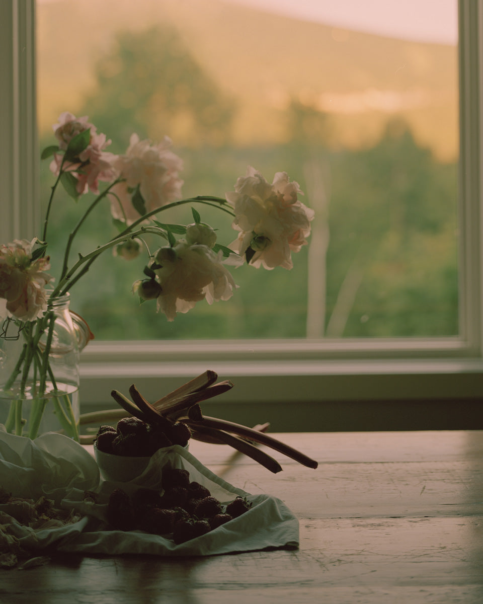 Strawberries and Rhubarb