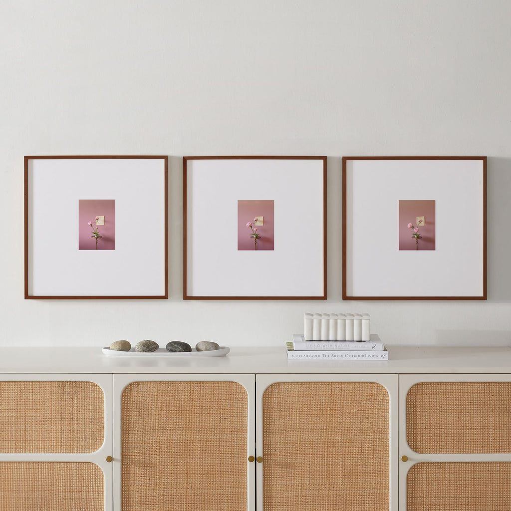 Peonies Opening Triptych