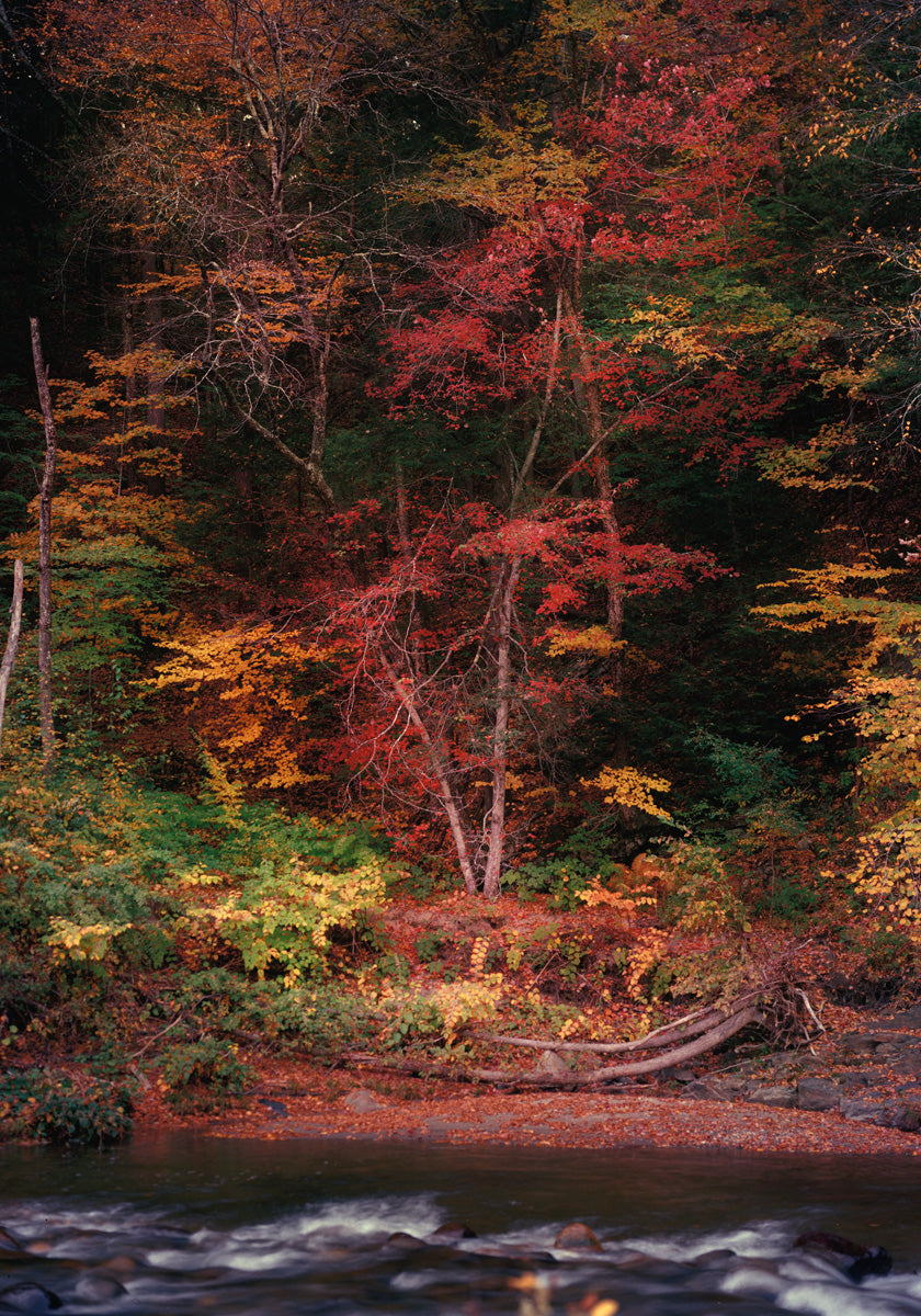 Autumn by the River in Vermont