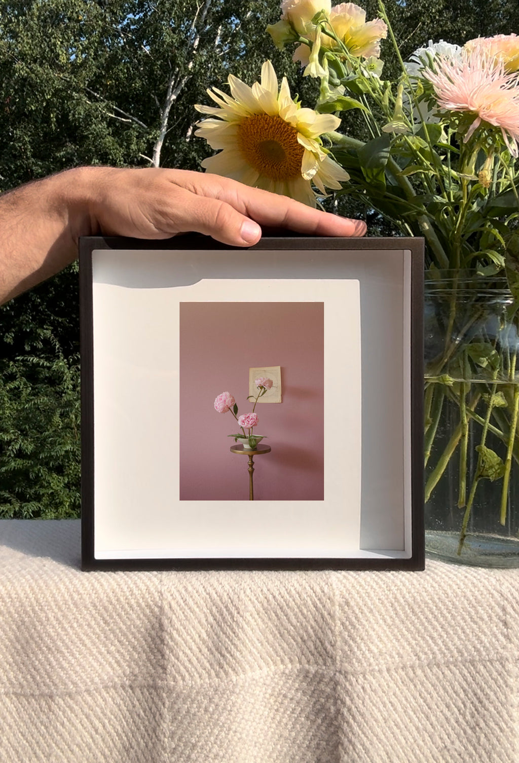 Peonies Opening Triptych