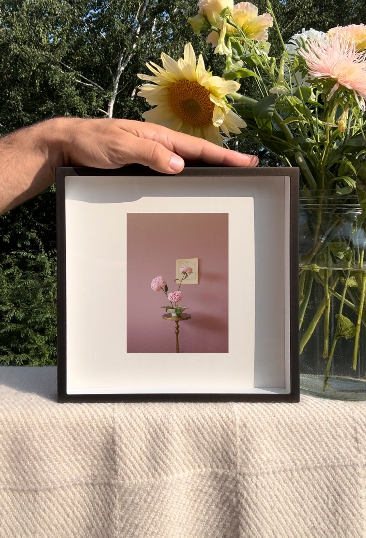 Peonies Opening Triptych