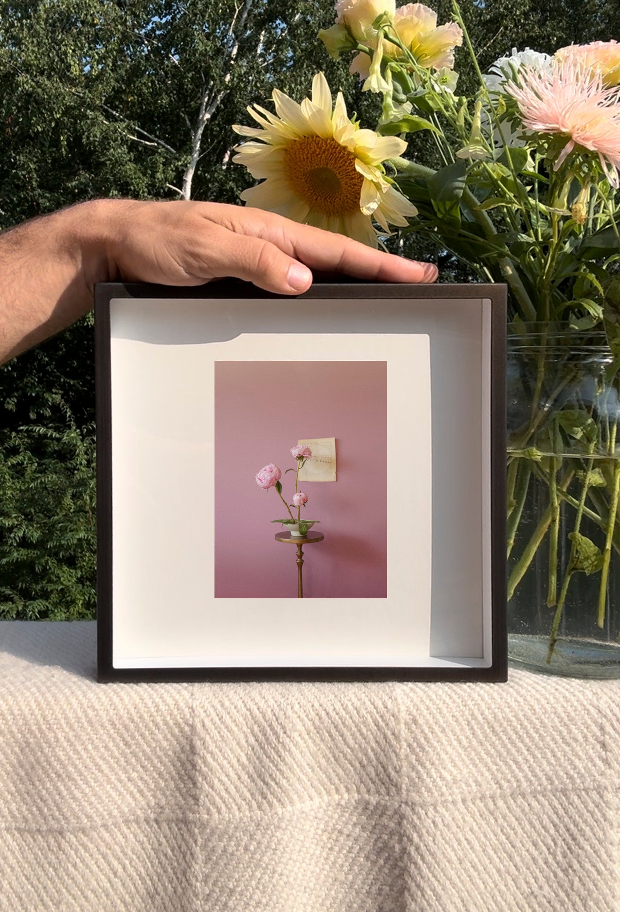 Peonies Opening Triptych