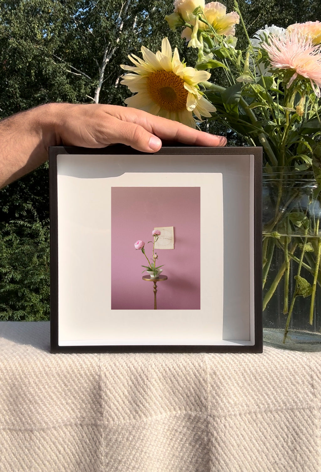 Peonies Opening Triptych