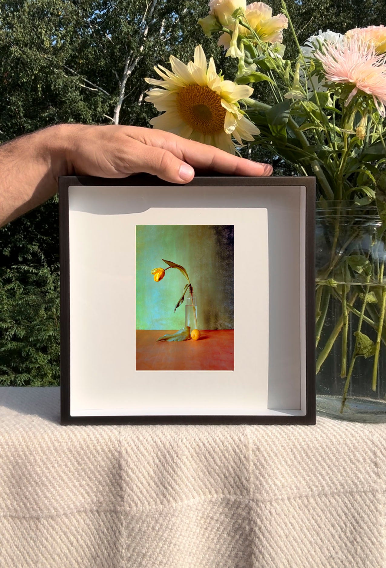 Yellow Tulips - Triptychs