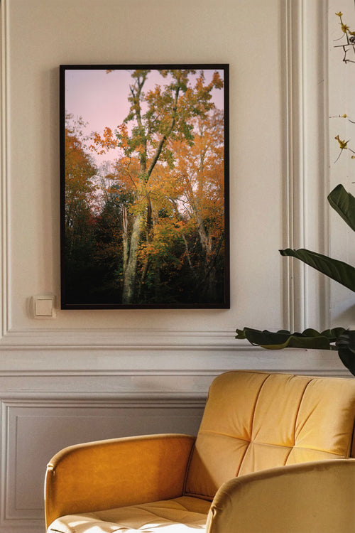 Autumnal Tree in Vermont