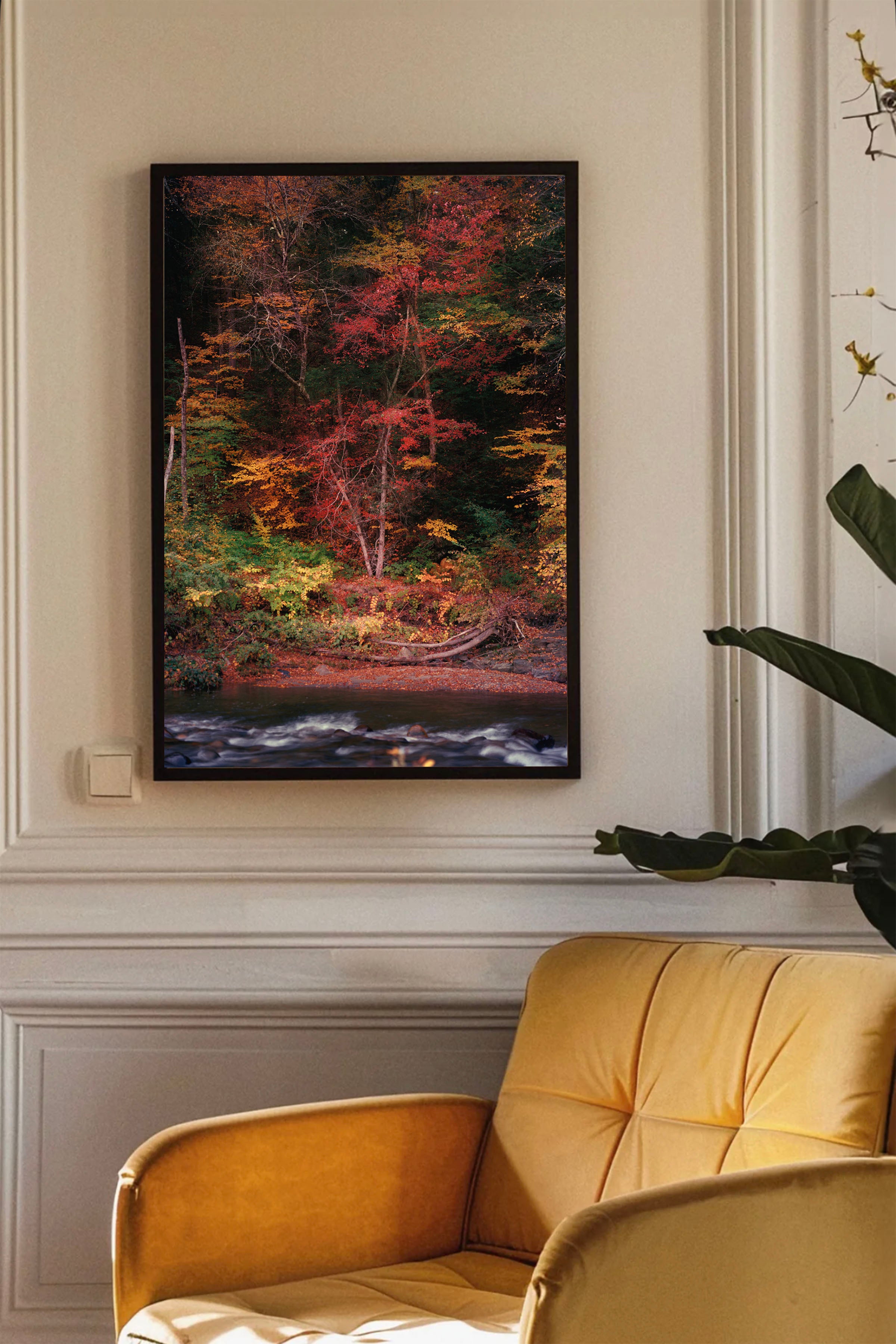 Autumn by the River in Vermont