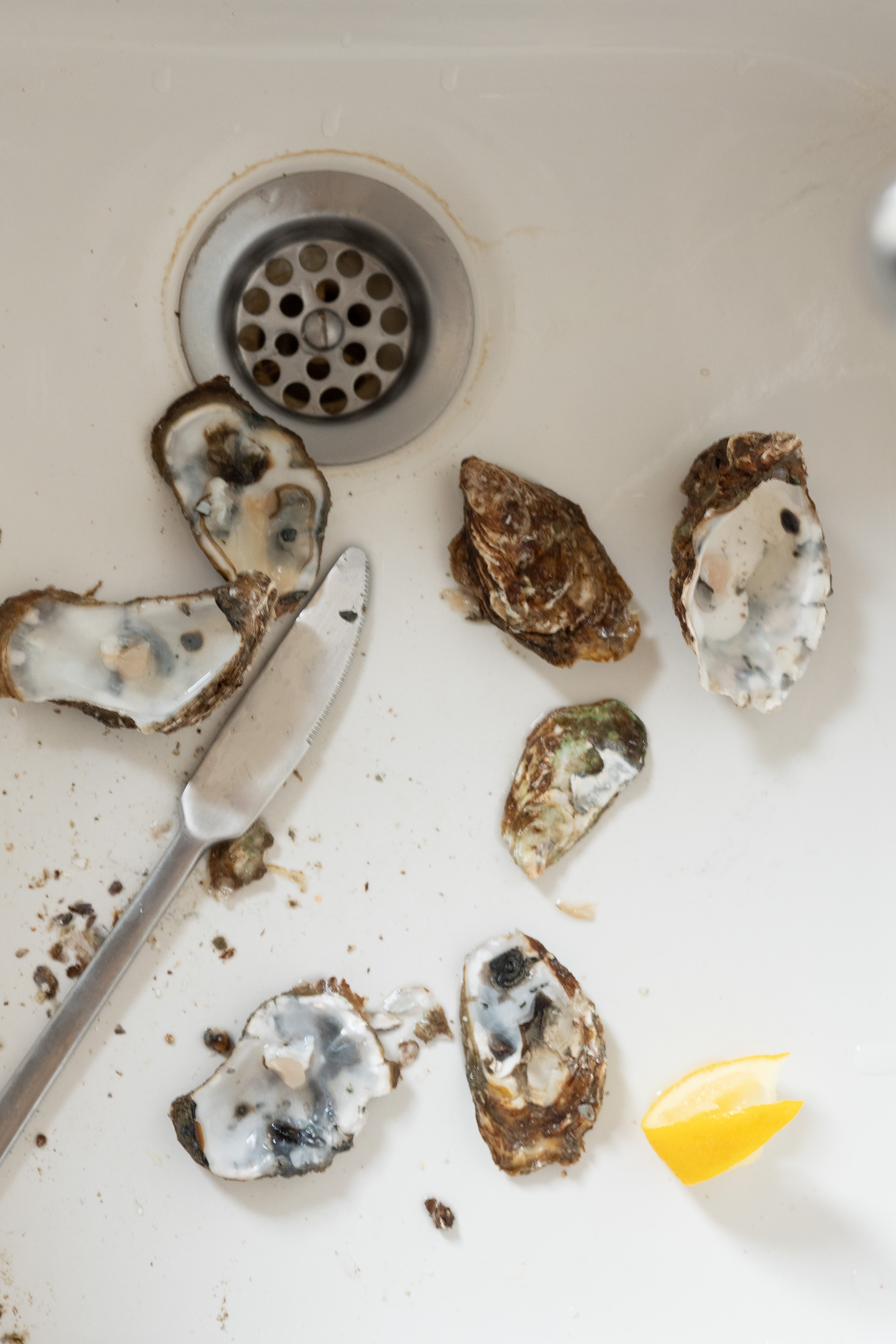 Oysters - Triptych