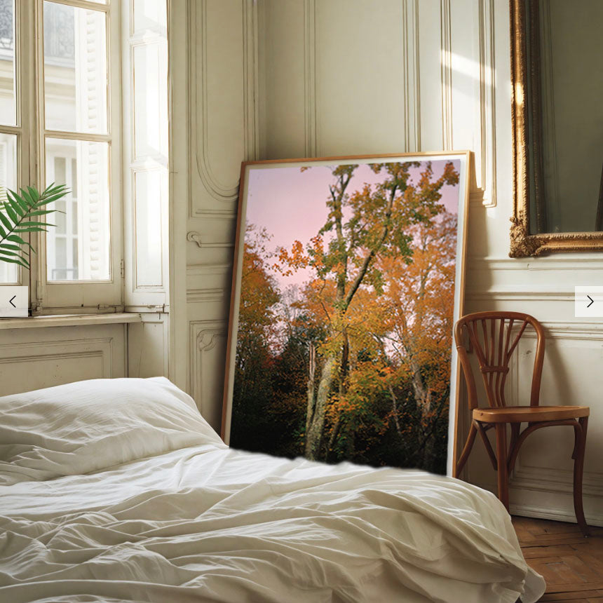 Autumnal Tree in Vermont