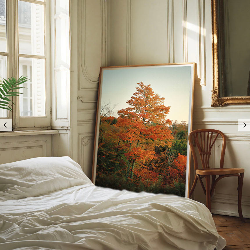 Maple Tree at Sunrise