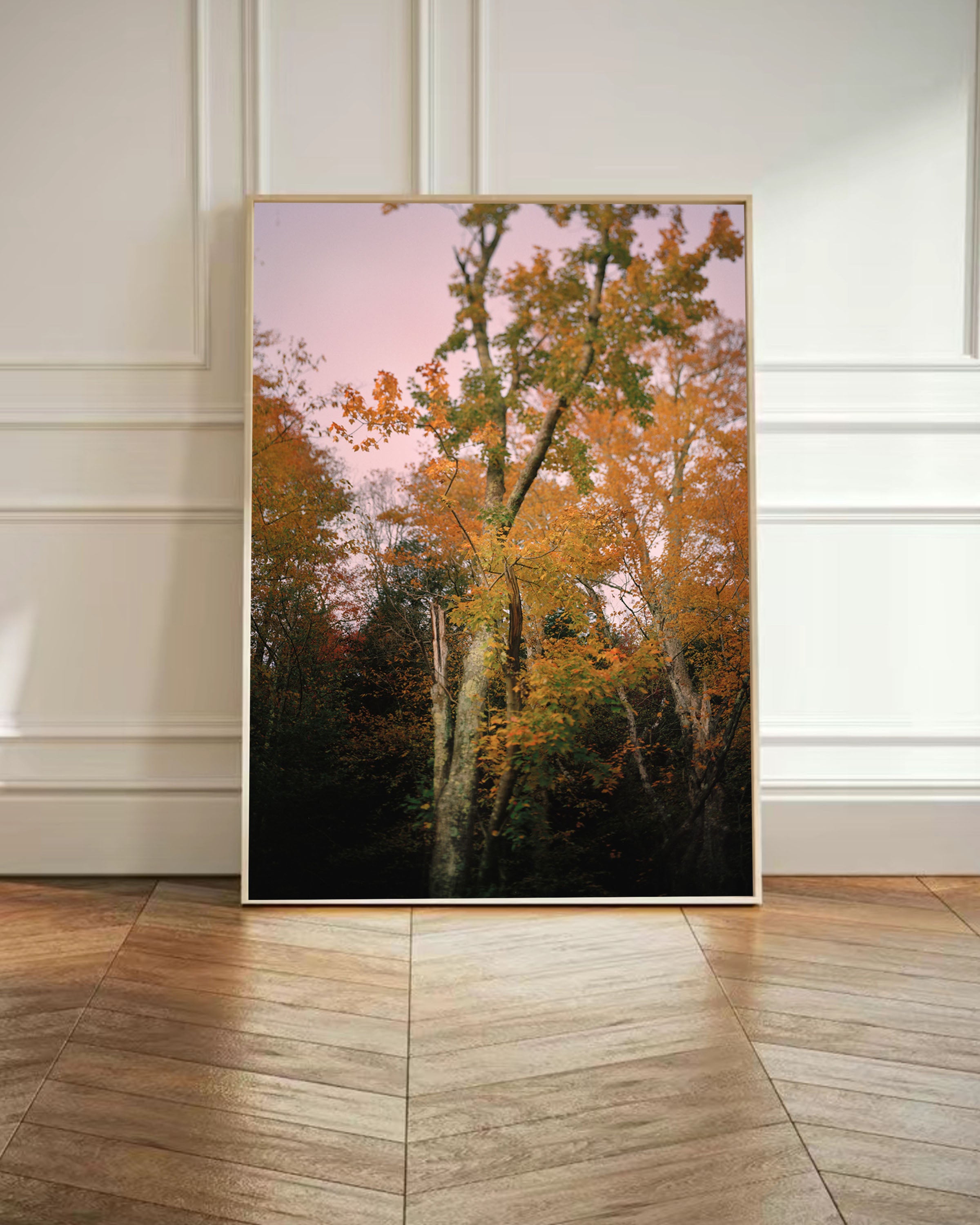 Autumnal Tree in Vermont