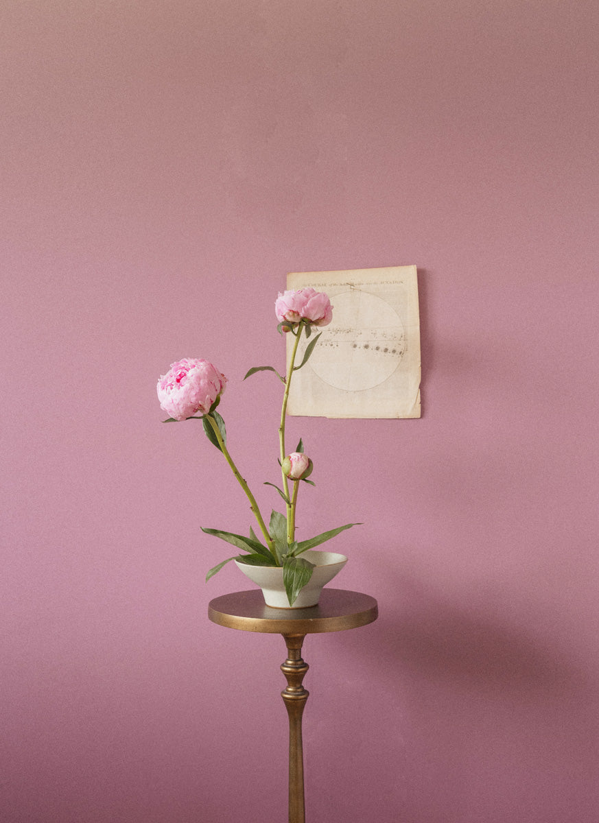 Peonies Opening Triptych