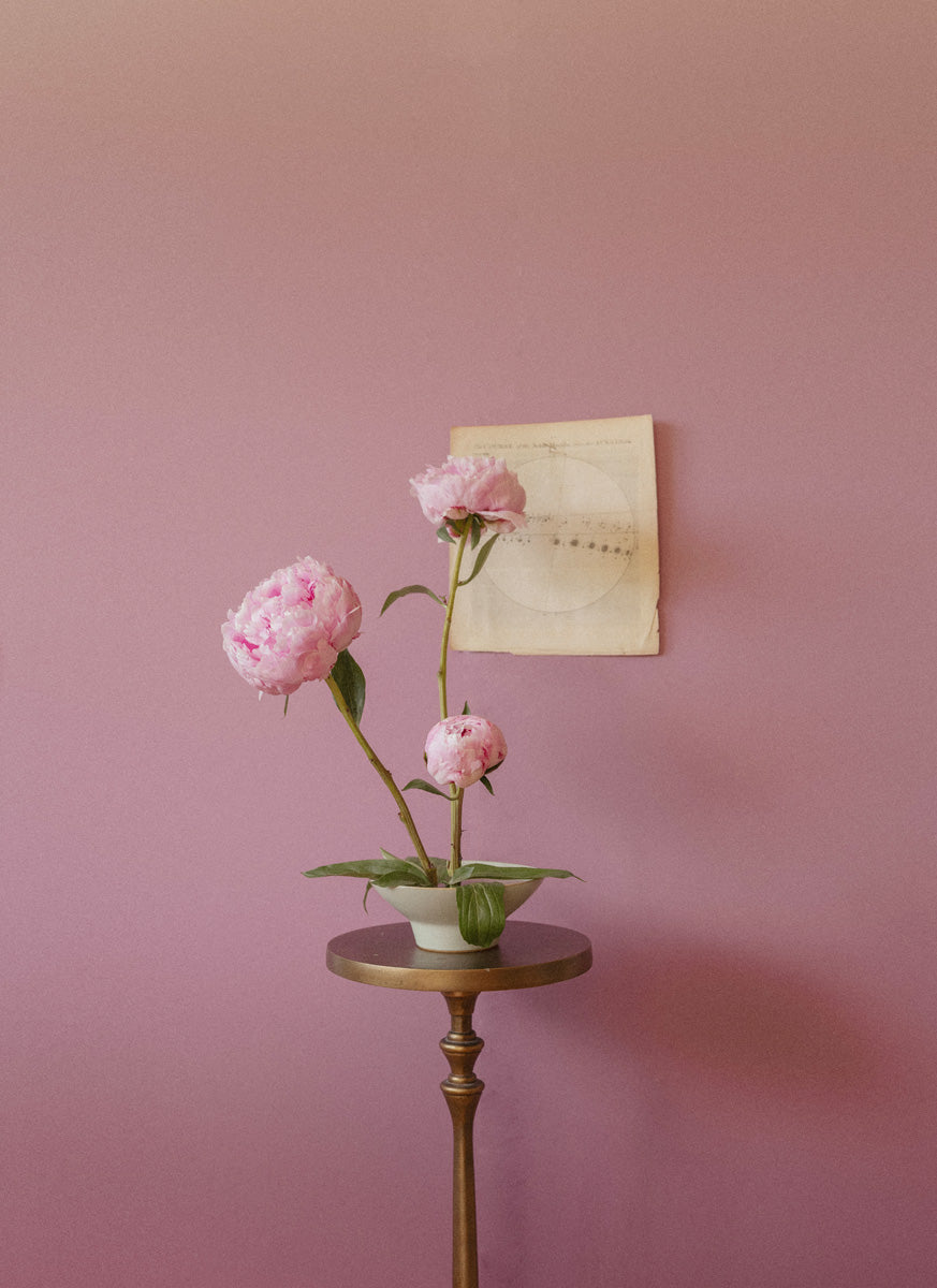 Peonies Opening Triptych