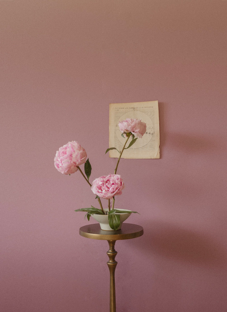 Peonies Opening Triptych