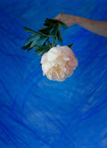 Peony in Blue