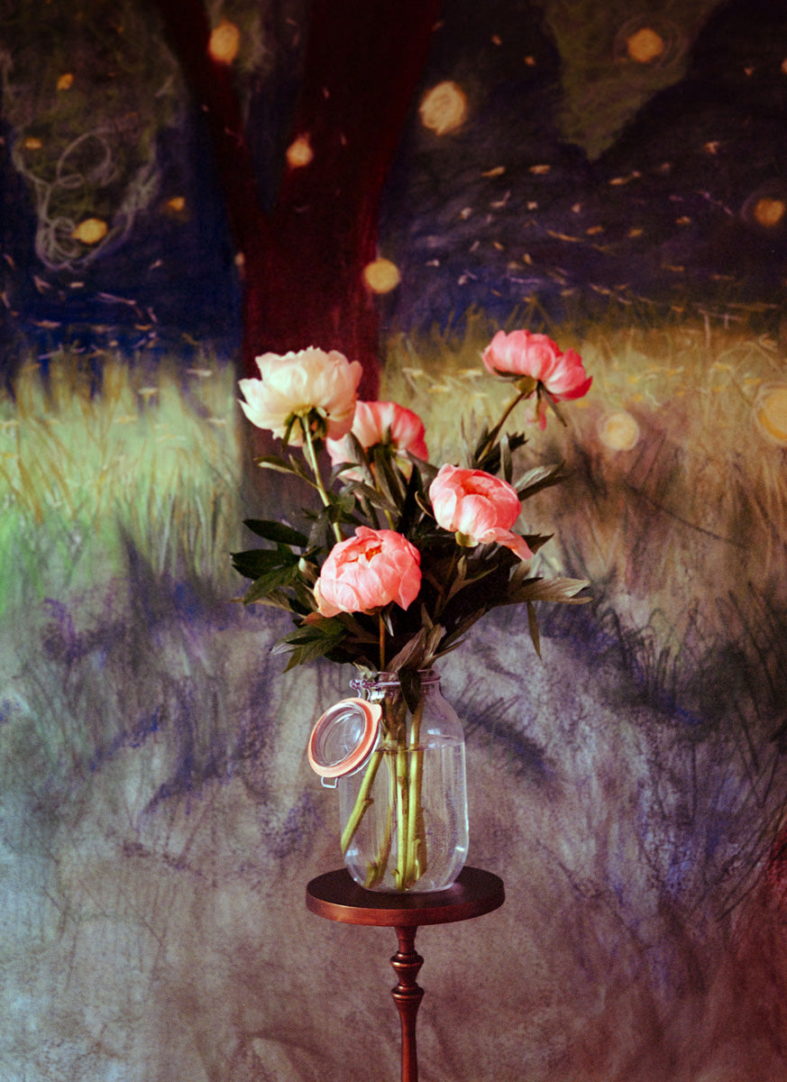 Peonies in Firefly Field