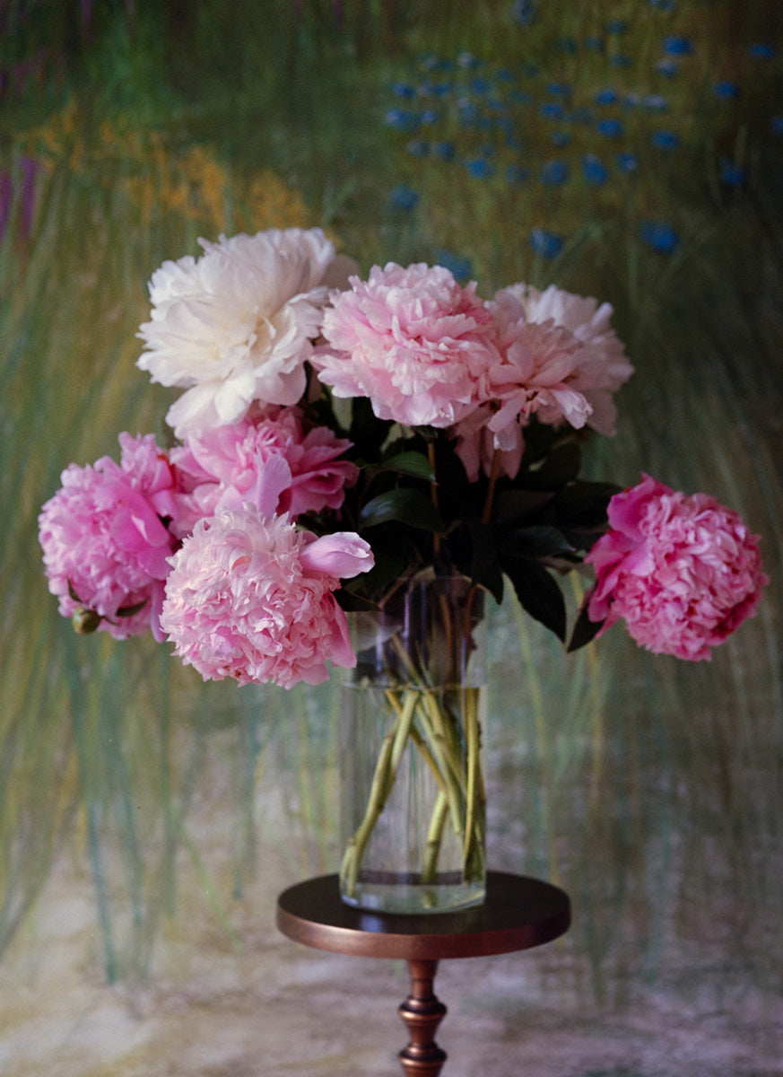 Peonies and Pastel