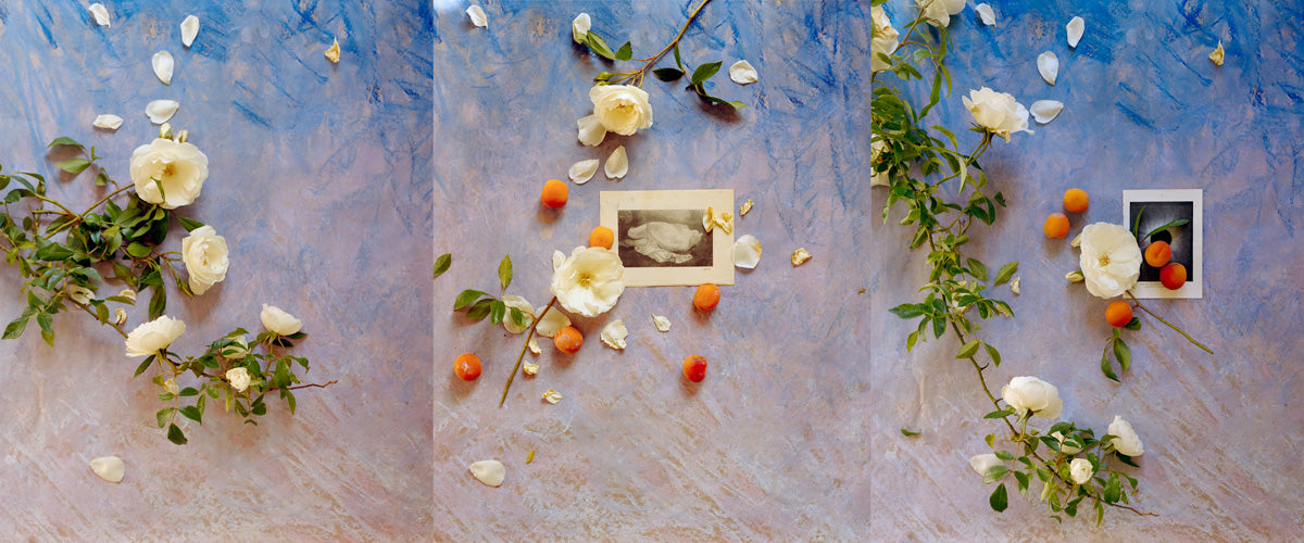Roses at Dusk with Soft Pastel